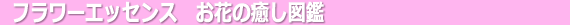 �t�����[�G�b�Z���X�@���Ԃ̓����@�ڂ�������