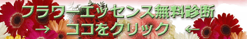 無料インターネット花カード　フラワーエッセンス診断